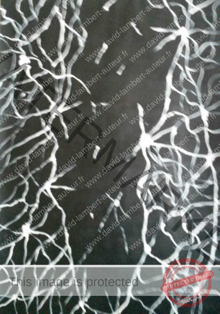 Failles_neuronales